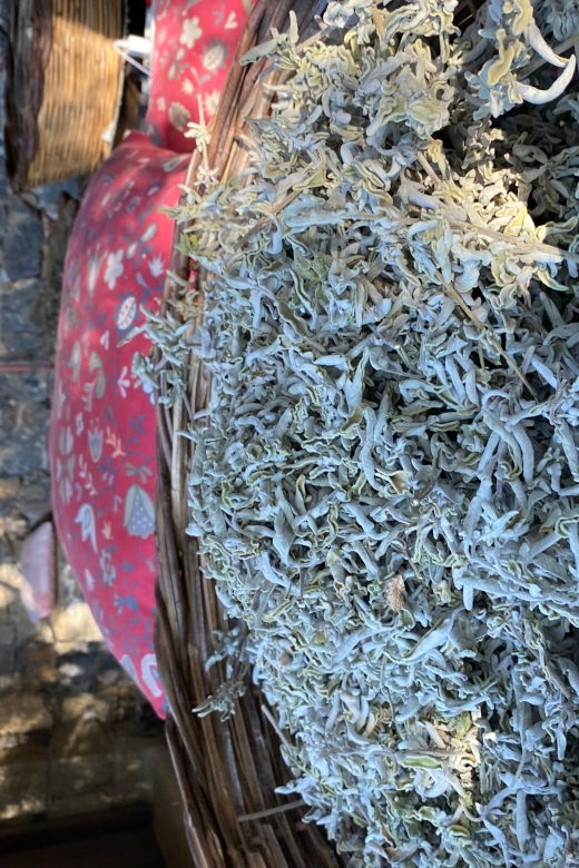 athens-greek-brunch-experience-with-amazing-views