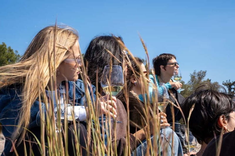 Athens: Greek Wine Tasting and Picnic on Philopappou Hill - Who Would Love This Tour?