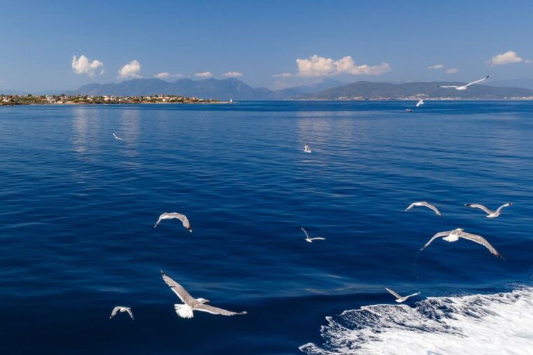 athens-guided-day-trip-to-aegina-island-with-swimming