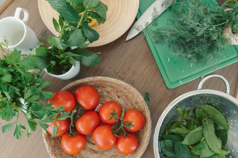 athens-half-day-morning-catamaran-cruise