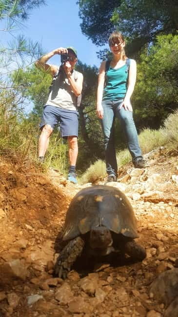 Athens Historical Hiking with Lunch - Who Would Love This Tour?