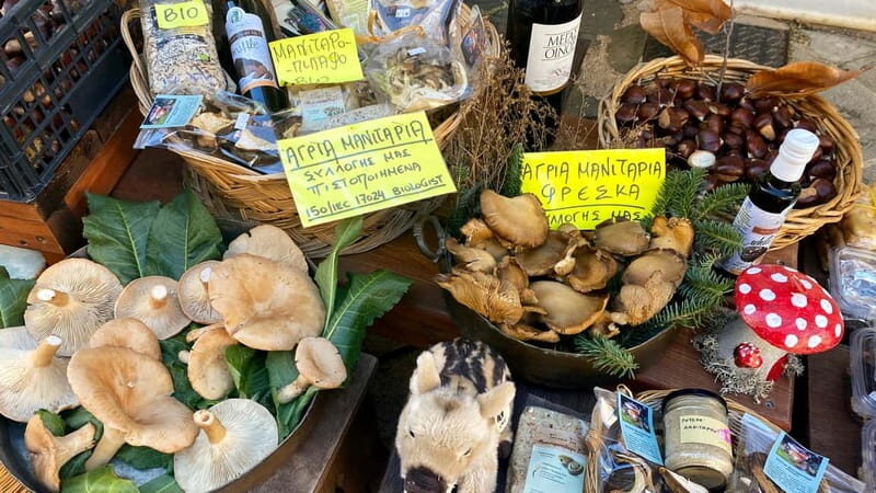 Athens: Kalavrita UNESCO Global Geopark & Pounta Beach Swim - Practical Tips for the Day