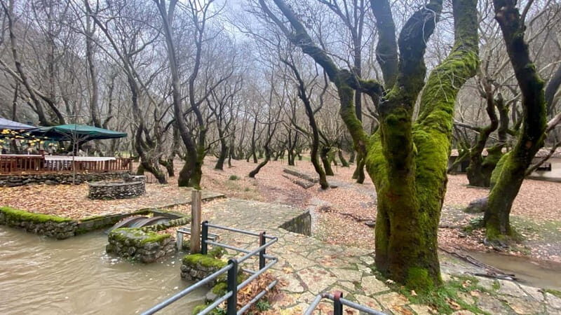 Athens: Kalavrita UNESCO Global Geopark & Pounta Beach Swim - Who Would Enjoy This Tour?