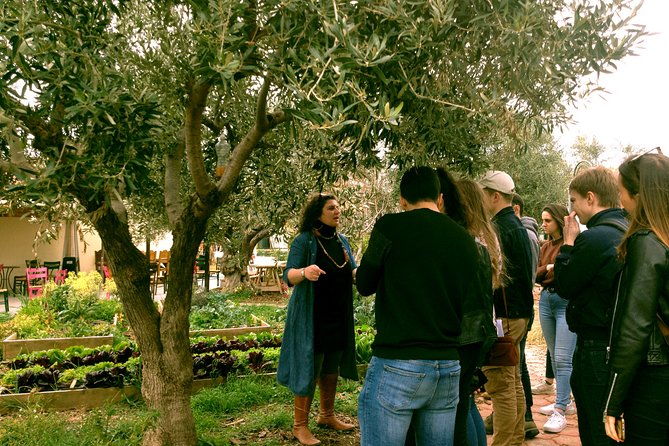 athens-olive-estate-olive-oil-workshop-with-farm-to-fork-lunch