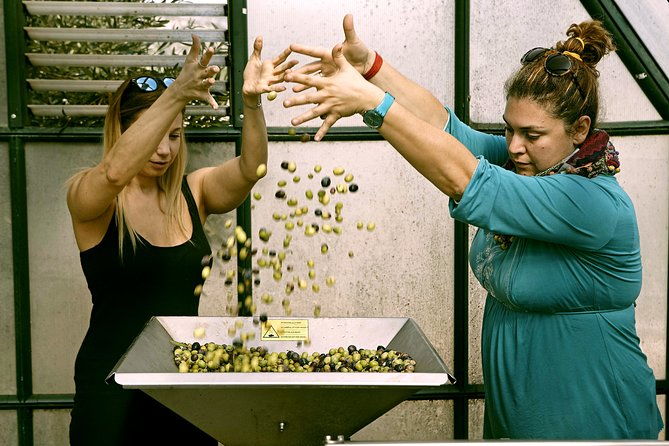 athens-olive-estate-olive-oil-workshop-with-farm-to-fork-lunch