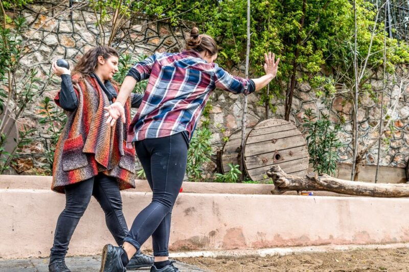 athens-olympic-games-workout-session