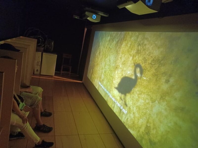 Athens: Philosophy Experience at Plato's Academy Park - What Past Participants Say