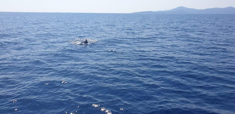 athens-riviera-catamaran-tour-with-fresh-meal-and-drinks