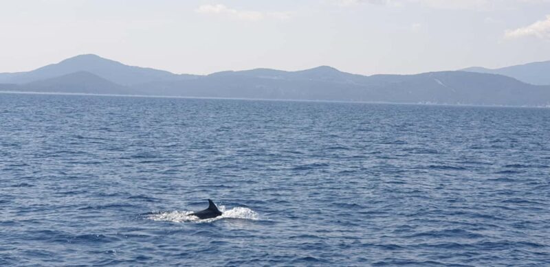 Athens Riviera Private Catamaran Cruise with Meal and Drinks - The Itinerary: What You Can Expect