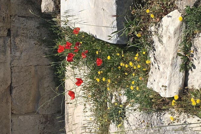 athens-shore-excursion-private-city-sightseeing-and-acropolis-tour