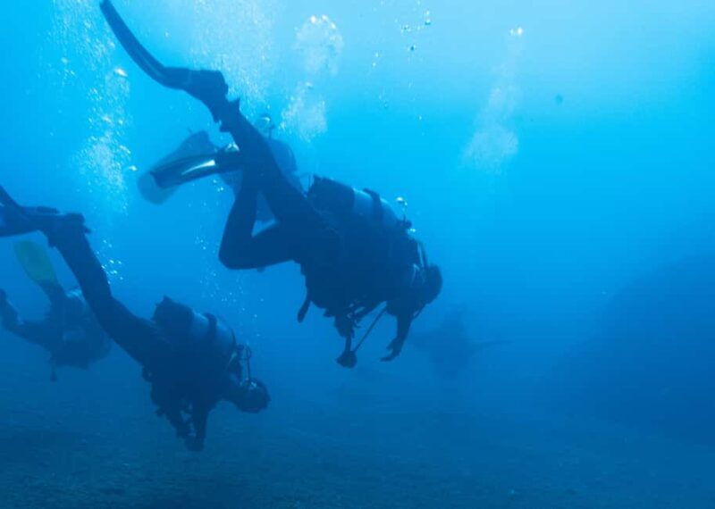 Athens: Snorkeling Tour - Exploring the Athens Snorkeling Tour: A Practical Guide for Travelers