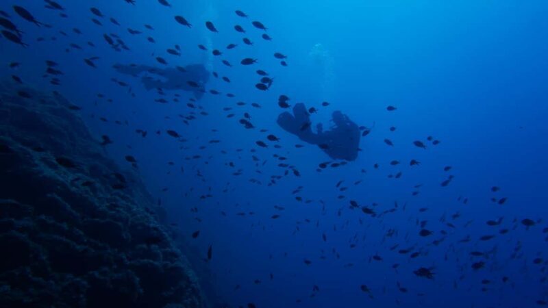 Athens: Snorkeling Tour - Key Points
