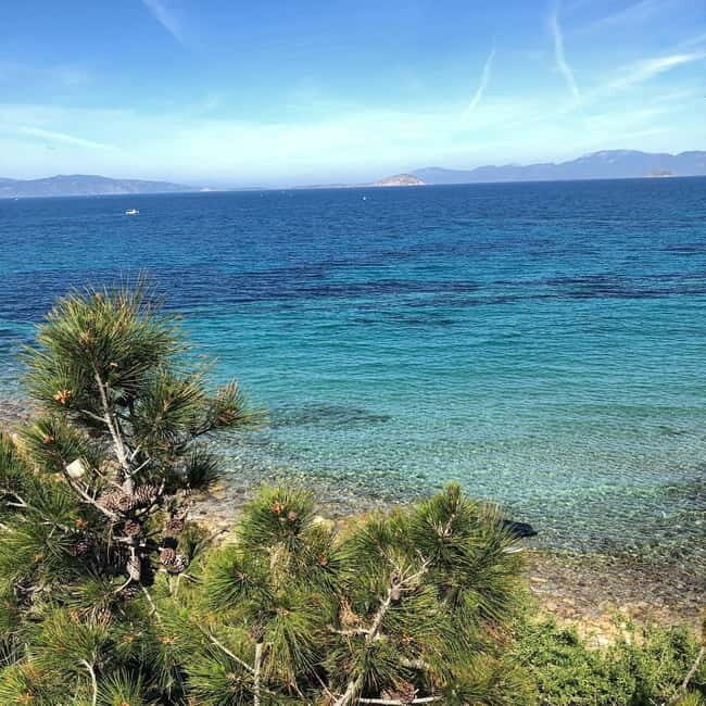 Athens to Aegina: Greek Island Escape & Swim Day Trip - Who Is This Tour Best For?