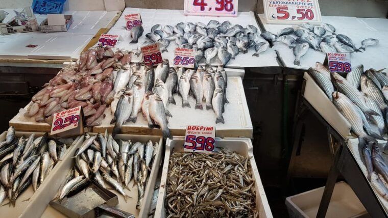 athens-traditional-greek-food-tour-in-hidden-spots