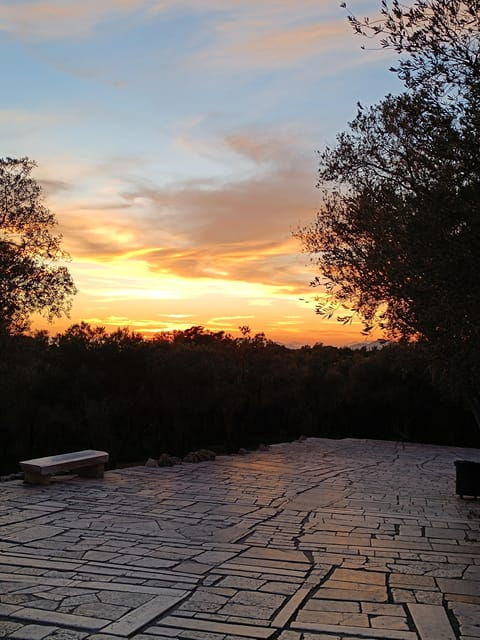 athens-western-hills-guided-walking-tour