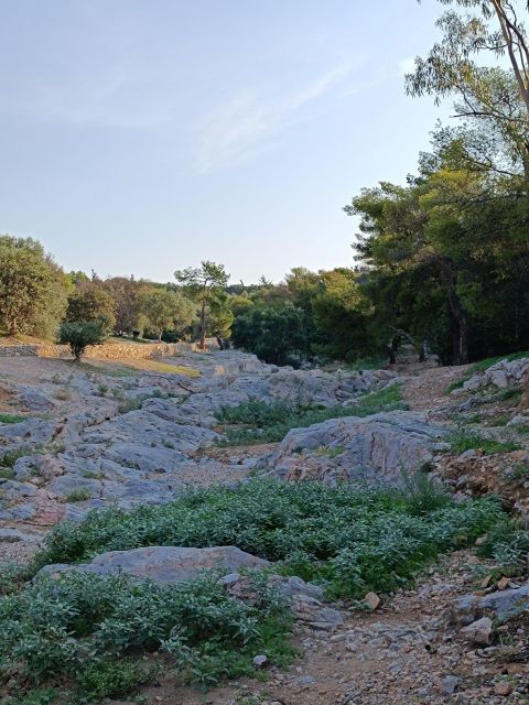 athens-western-hills-guided-walking-tour