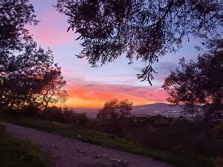 athens-western-hills-guided-walking-tour