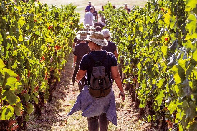 athens-wine-tour-an-outstanding-full-day-experience-for-dedicated-winelovers