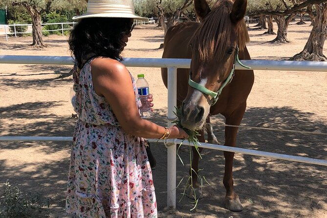 athens-wine-tour-an-outstanding-full-day-experience-for-dedicated-winelovers
