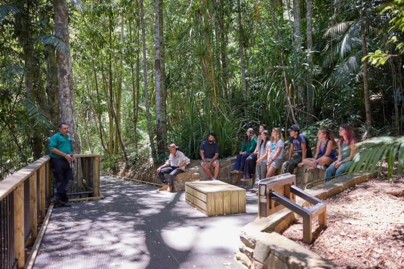 Atherton: Yidinji Explorer Tour with Fig Tree & Lake Barrine - A Scenic Break at Lake Barrine