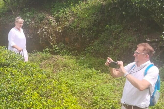 Athirappilly & Vazhachal Waterfalls Private Day Tour from Kochi - The Journey Back: Relaxed and Satisfied