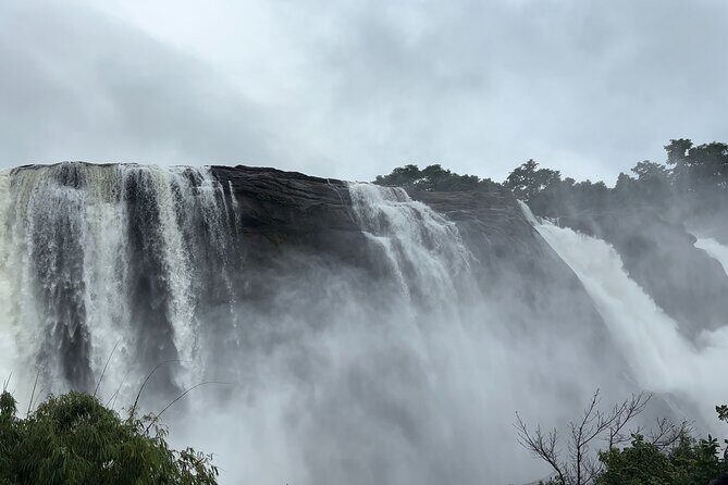Athirappilly Waterfalls Day Trip from Kochi with Transfers - Exploring the Itinerary