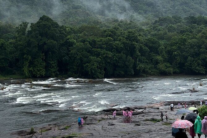 Athirappilly Waterfalls Day Trip from Kochi with Transfers - The Sum Up