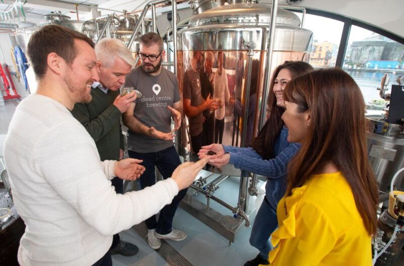athlone-dead-centre-brewing-tour-and-craft-beer-tasting
