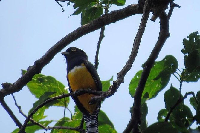 atitlan-hiking-and-birding-day-tour-from-antigua