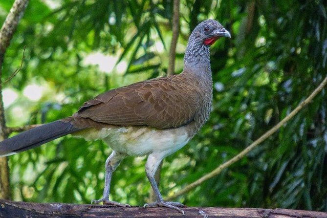 atitlan-hiking-and-birding-day-tour-from-antigua