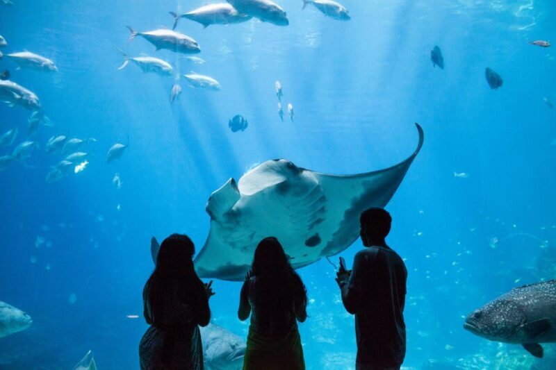 Atlanta CityPASS®: Save up to 49% at 5 Top Attractions - Who Should Consider the Atlanta CityPASS?