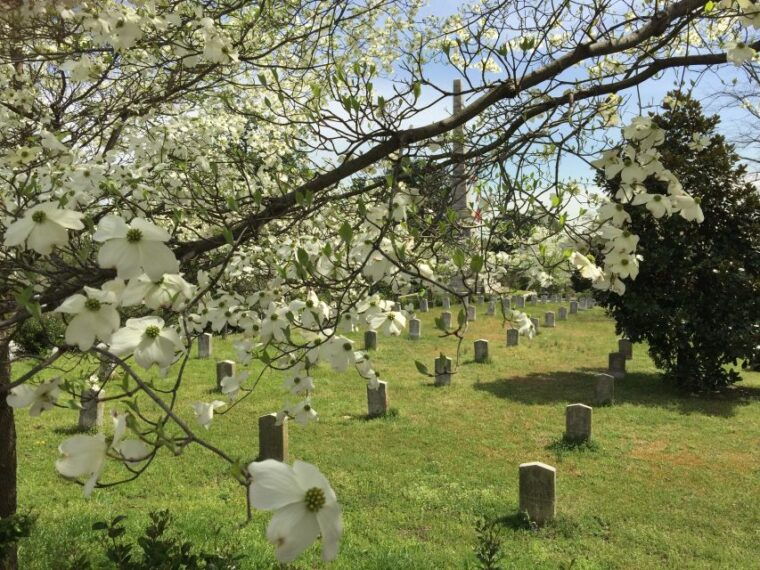 atlanta-from-civil-war-to-civil-rights-private-tour