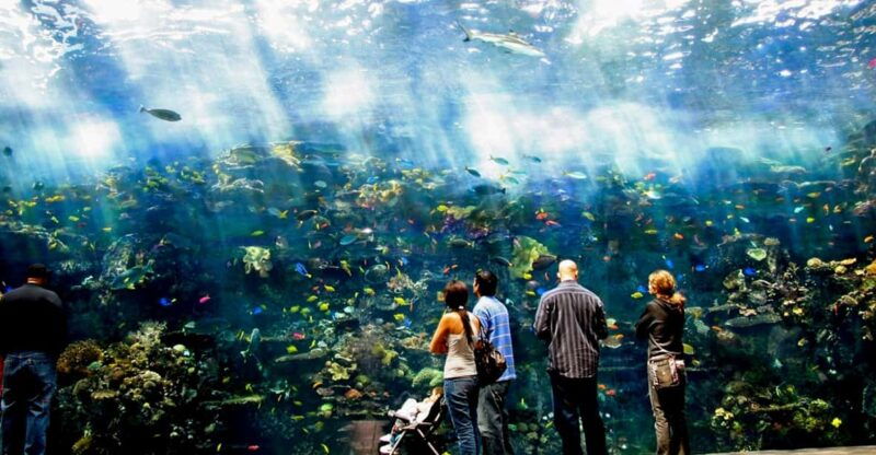 atlanta-georgia-aquarium-skip-the-box-office-entry-ticket