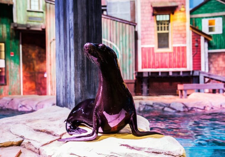 atlanta-georgia-aquarium-skip-the-box-office-entry-ticket
