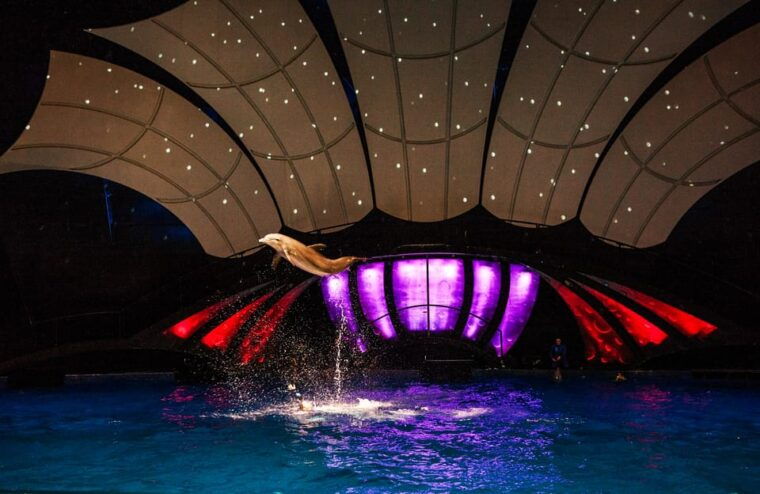 atlanta-georgia-aquarium-skip-the-box-office-entry-ticket