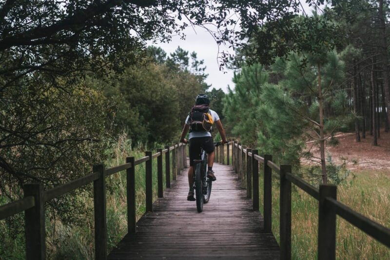 atlantic-coast-e-bike-and-glass-museum-tour