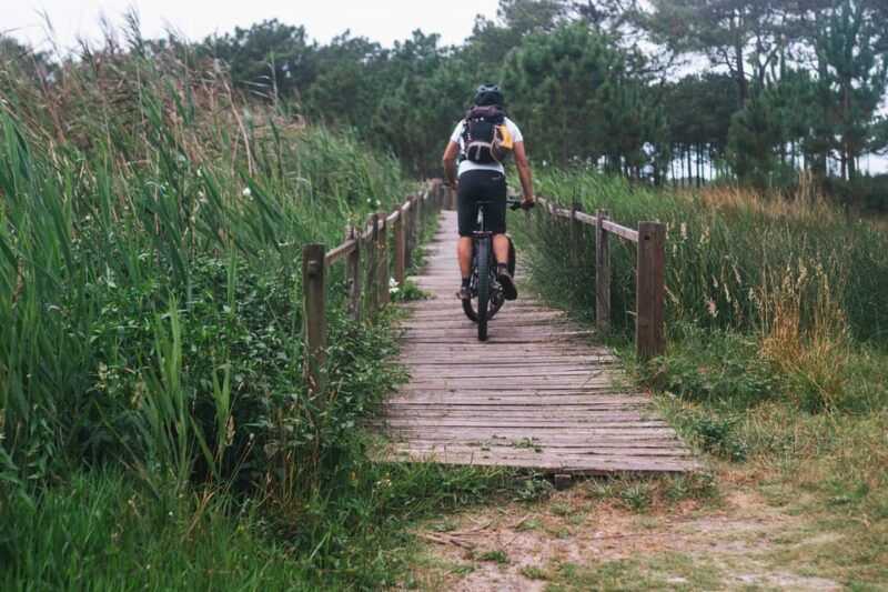 atlantic-coast-e-bike-and-glass-museum-tour