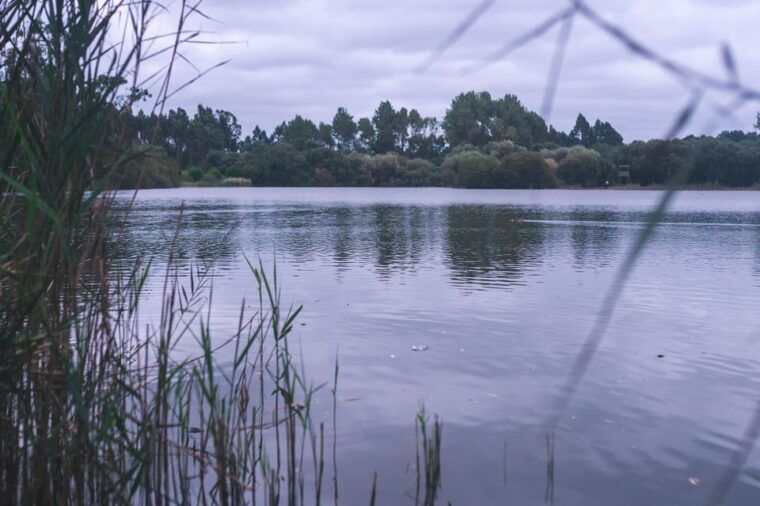 atlantic-coast-e-bike-and-glass-museum-tour