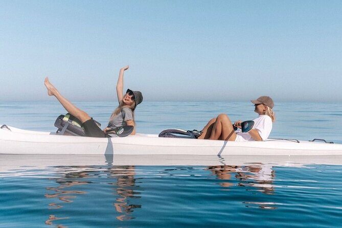 Atlantic Outlook Kayak Tour Cape Town - Setting the Scene: What to Expect on the Tour