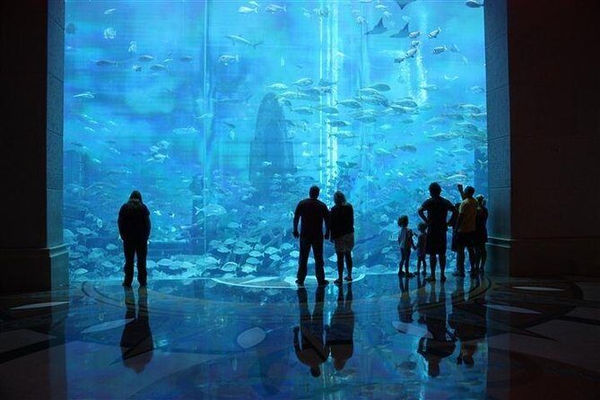 Atlantis Lost-Chamber Aquarium Dubai - FAQ