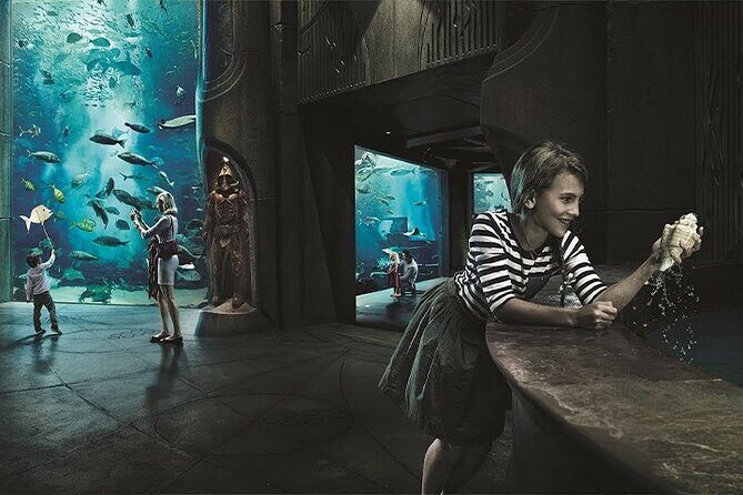 Atlantis Lost-Chamber Aquarium Dubai - Who Should Visit?
