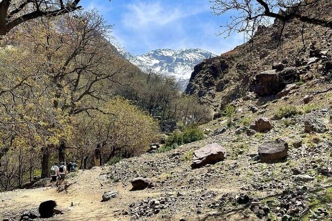 Atlas Bound: Marrakech's 5 Valleys Expedition - Authentic Experiences that Matter