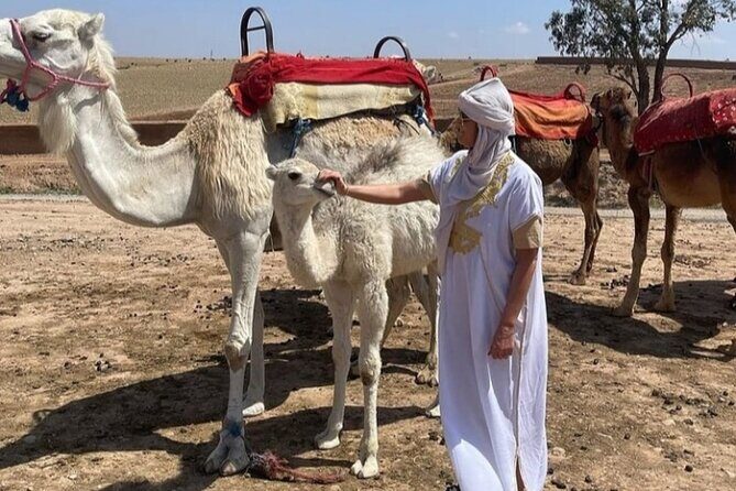 Atlas Bound: Marrakech's 5 Valleys Expedition - Who Should Book This Tour?