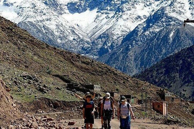 Atlas Mountain& berber village Day trip from Marrakech - Key Points