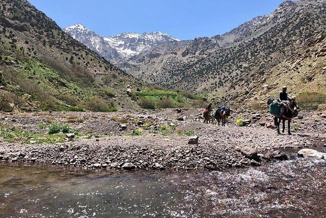 Atlas Mountain& berber village Day trip from Marrakech - Who Will Enjoy This?