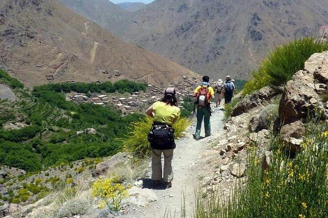 Atlas Mountain& berber village Day trip from Marrakech - Final Thoughts: Who Is This Tour Best For?