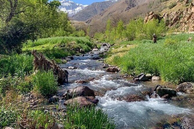 Atlas Mountain & Camel ride, day trip - Into the Imlil Valley: A Trek into Berber Life