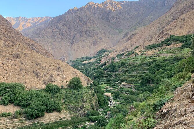 Atlas Mountain Day Trip From Marrakech - What Travelers Say