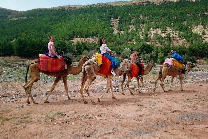 Atlas Mountain From Marrakech - Practical Details and What to Expect
