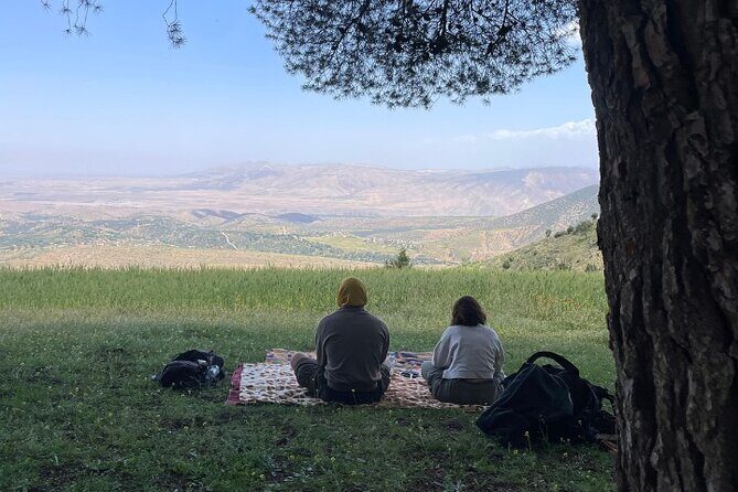 Atlas Mountain Hike & Berber Cooking with a Local Family - Who Will Love This Tour?